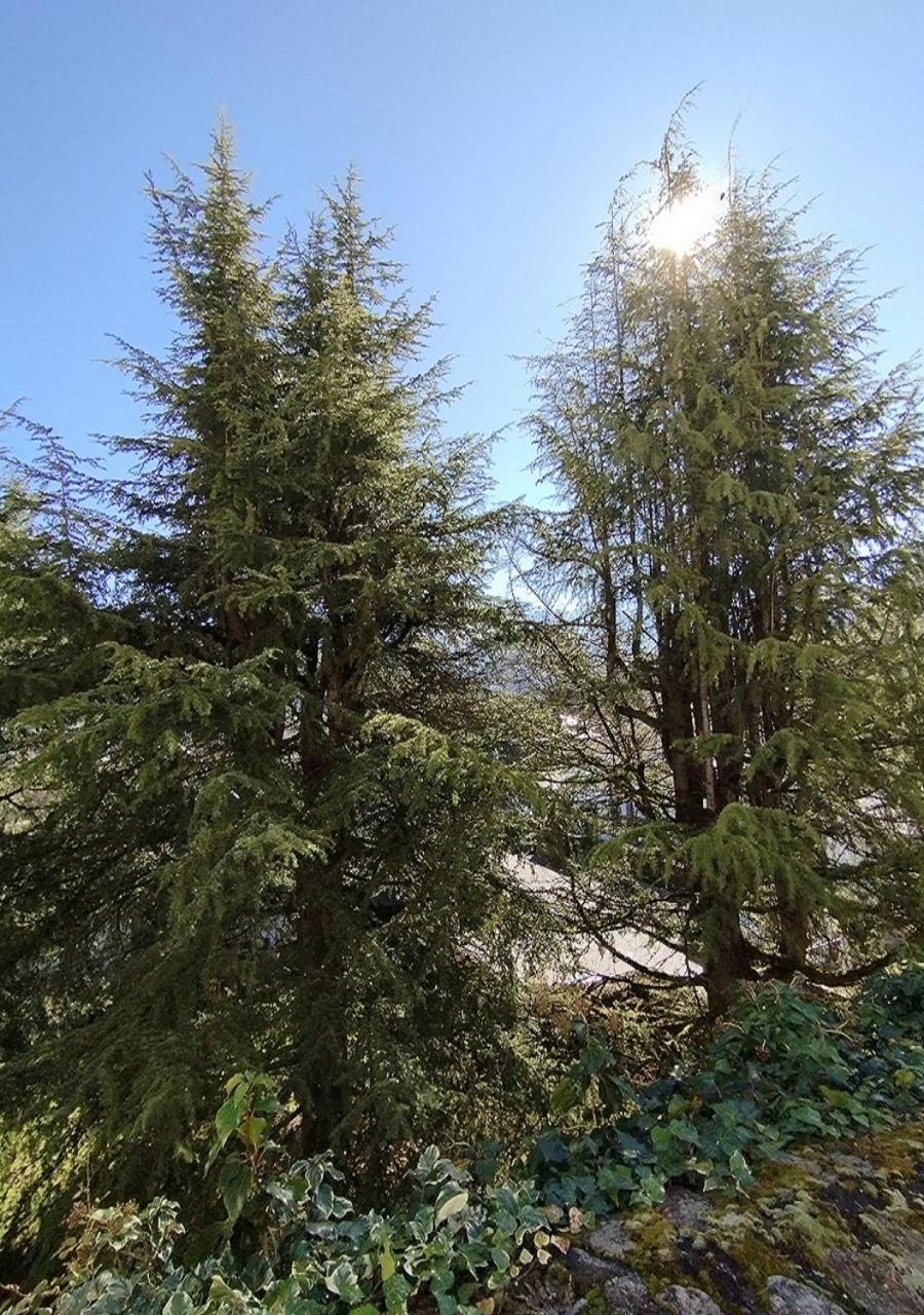 Appartement Le Welcome Argelès-Gazost Kültér fotó